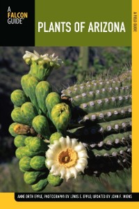 Cover Plants of Arizona