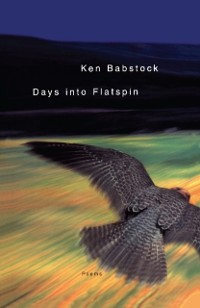 Cover Days into Flatspin