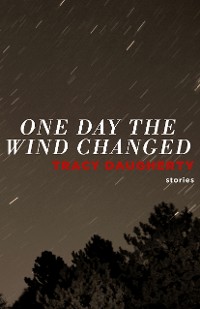 Cover One Day the Wind Changed