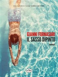 Cover Il sasso dipinto