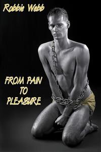 Cover From Pain To Pleasure
