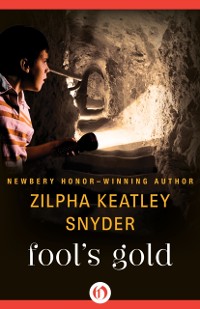 Cover Fool's Gold