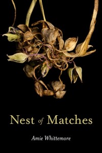 Cover Nest of Matches