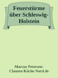 Cover Feuerstürme über Schleswig-Holstein: Meteorit und Apokalypse 2040