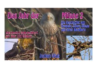 Cover Das Jahr der Milane 2