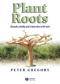 Cover Plant Roots