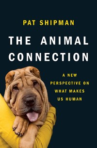 Cover The Animal Connection: A New Perspective on What Makes Us Human
