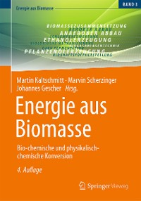 Cover Energie aus Biomasse