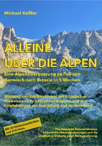 Cover Alleine über die Alpen