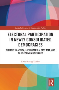 Cover Electoral Participation in Newly Consolidated Democracies