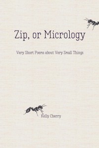 Cover Zip, or Micrology