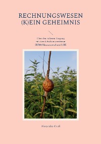 Cover Rechnungswesen (k)ein Geheimnis