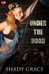 Cover Under the Hood