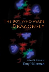 Cover The Boy Who Made Dragonfly
