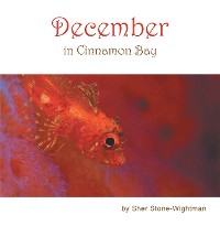 Cover December in Cinnamon Bay