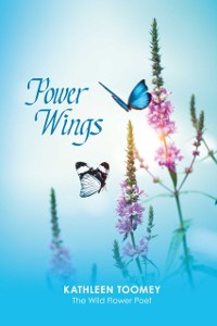 Cover Power Wings