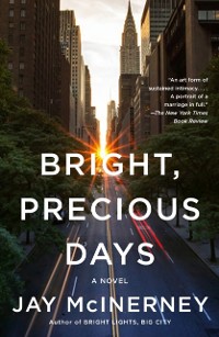 Cover Bright, Precious Days