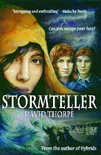 Cover Stormteller