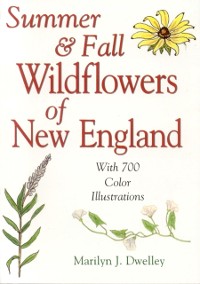 Cover Summer & Fall Wildflowers of New England