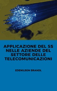 Cover Applicazione del 5s nelle Aziende del Settore delle Telecomunicazioni