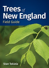 Cover Trees of New England Field Guide