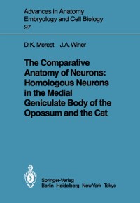 Cover Comparative Anatomy of Neurons: Homologous Neurons in the Medial Geniculate Body of the Opossum and the Cat
