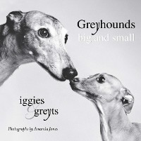 Cover Greyhounds Big and Small