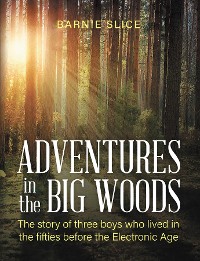 Cover Adventures in the Big Woods
