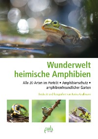 Cover Wunderwelt heimische Amphibien