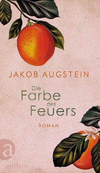 Cover Die Farbe des Feuers