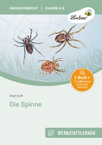 Cover Die Spinne