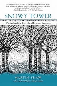 Cover Snowy Tower