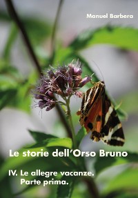 Cover Le storie dell'Orso Bruno. IV. Le allegre vacanze. Parte prima