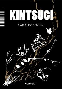 Cover Kintsugi