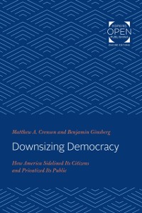 Cover Downsizing Democracy