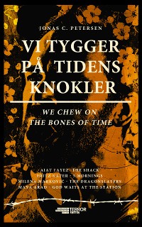 Cover VY TYGGER PÅ TIDENS KNOKLER.