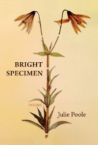 Cover Bright Specimen