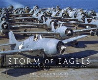 Cover Storm of Eagles