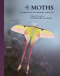 Cover The Lives of Moths