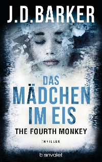 Cover The Fourth Monkey - Das Mädchen im Eis