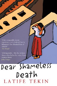 Cover Dear Shameless Death