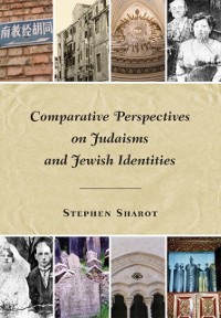 Cover Comparative Perspectives on Judaisms and Jewish Identities