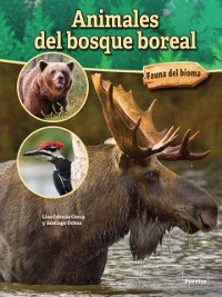Cover Animales del bosque boreal