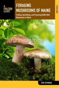 Cover Foraging Mushrooms Maine