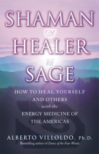Cover Shaman, Healer, Sage