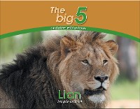 Cover Lion