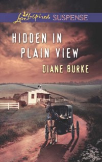 Cover Hidden in Plain View (Mills & Boon Love Inspired Suspense)