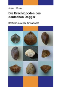 Cover Die Brachiopoden des deutschen Dogger