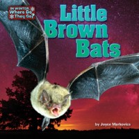 Cover Little Brown Bats