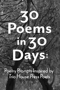 Cover 30 Poems in 30 Days